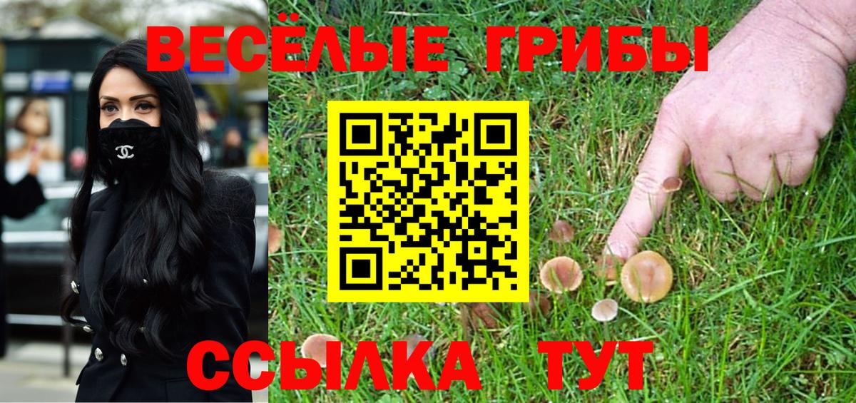 Галлюциногенные грибы Cubensis Минусинск