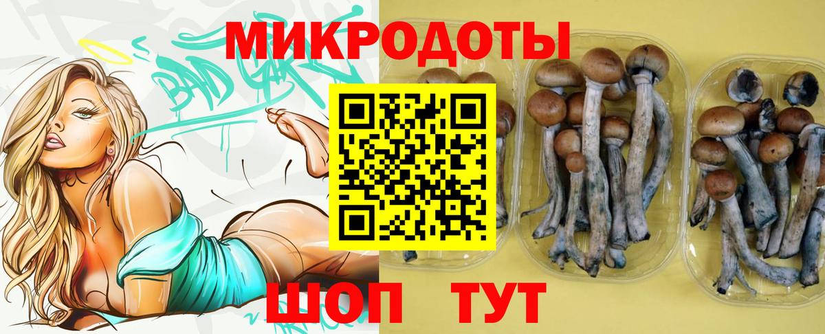 Псилоцибиновые грибы прущие грибы  Вход с VPN  Псилоцибиновые грибы Cubensis  Минусинск 